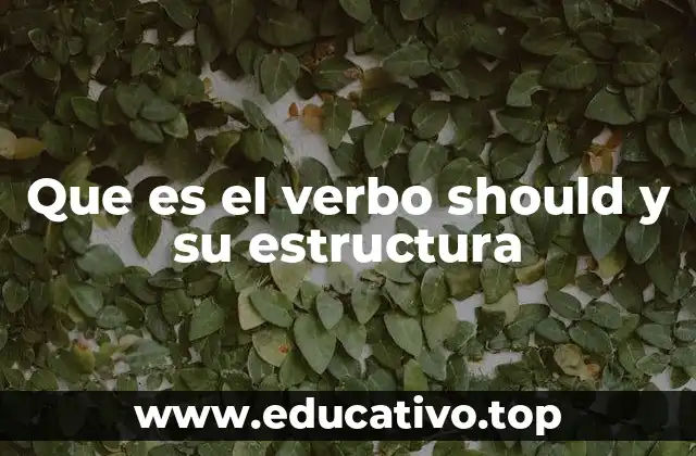 Que es el verbo should y su estructura