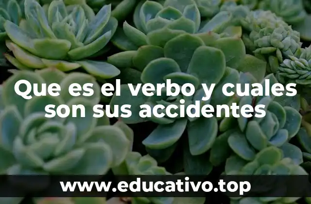 Que es el verbo y cuales son sus accidentes