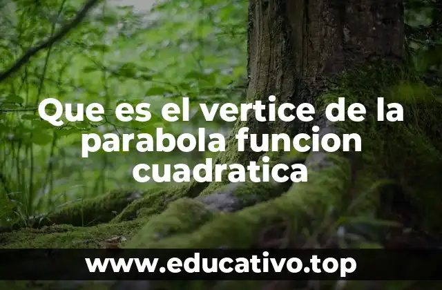 Que es el vertice de la parabola funcion cuadratica