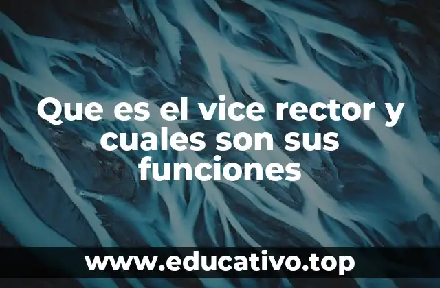Que es el vice rector y cuales son sus funciones