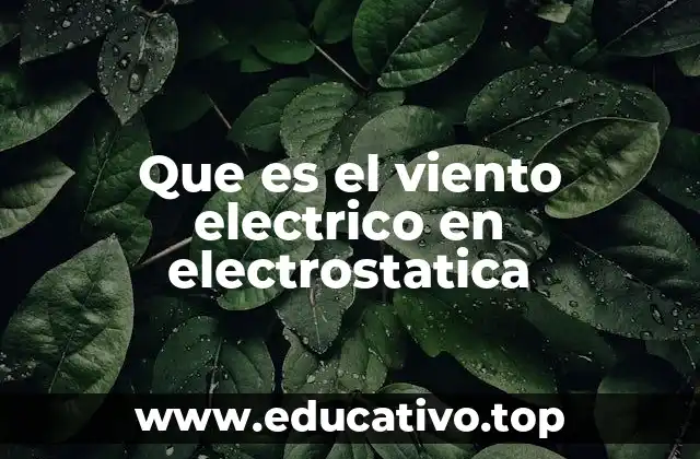 Que es el viento electrico en electrostatica