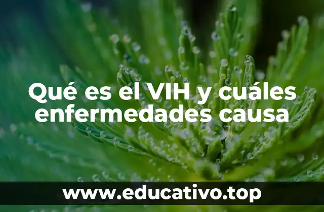 Qué es el VIH y cuáles enfermedades causa