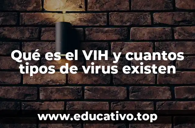 Qué es el VIH y cuantos tipos de virus existen