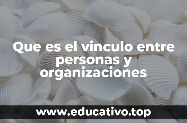 Que es el vinculo entre personas y organizaciones