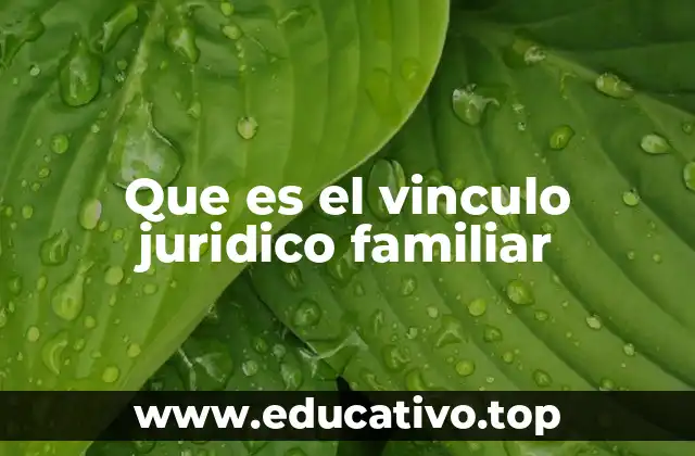 Que es el vinculo juridico familiar