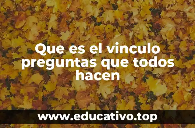 Que es el vinculo preguntas que todos hacen