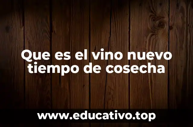 Que es el vino nuevo tiempo de cosecha
