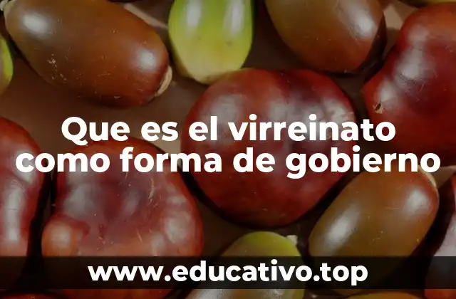 Que es el virreinato como forma de gobierno