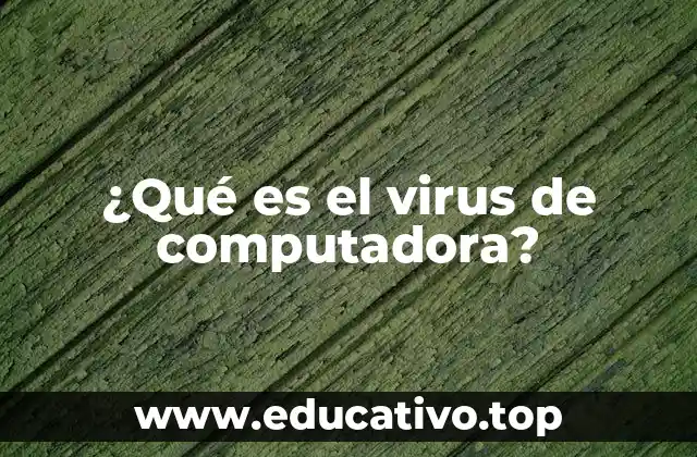 ¿Qué es el virus de computadora?