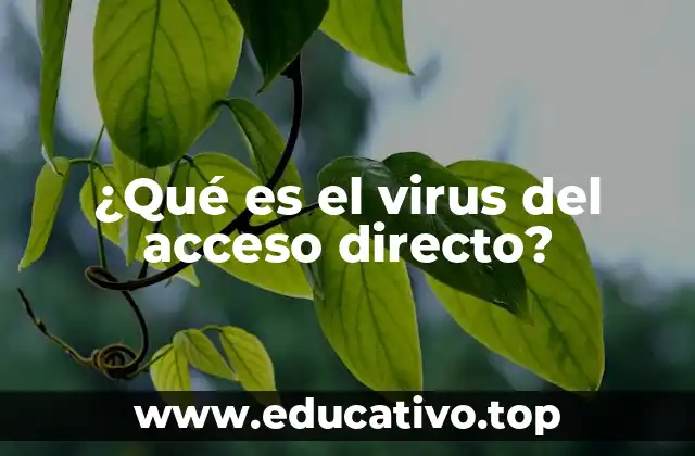 ¿Qué es el virus del acceso directo?