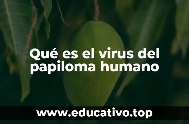 Qué es el virus del papiloma humano