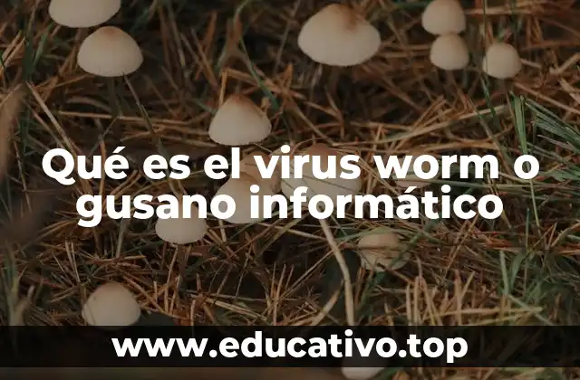 Qué es el virus worm o gusano informático