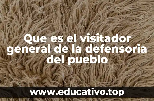 Que es el visitador general de la defensoria del pueblo