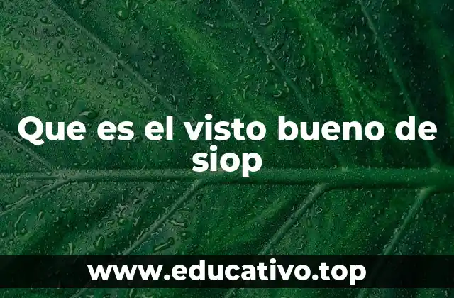 Que es el visto bueno de siop