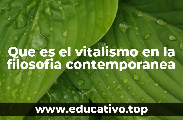 Que es el vitalismo en la filosofia contemporanea