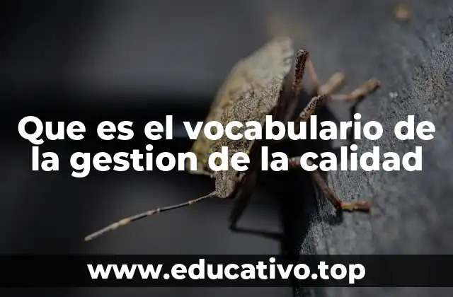 Que es el vocabulario de la gestion de la calidad