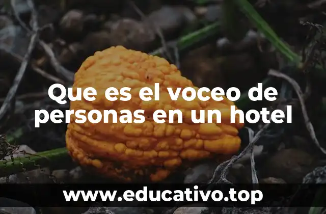 El rol del voceo en la operación hotelera