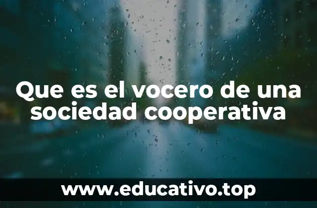 Que es el vocero de una sociedad cooperativa