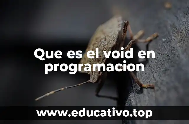 Que es el void en programacion