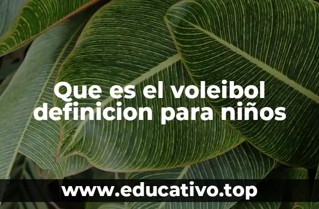 Que es el voleibol definicion para niños