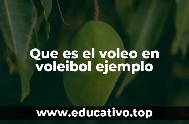 Que es el voleo en voleibol ejemplo