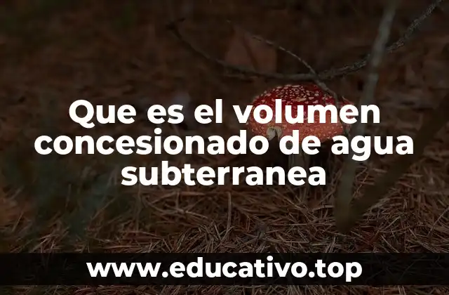 Que es el volumen concesionado de agua subterranea
