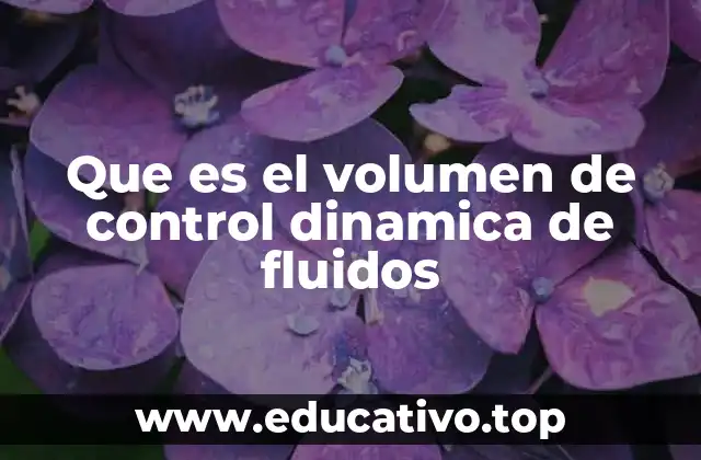 Que es el volumen de control dinamica de fluidos