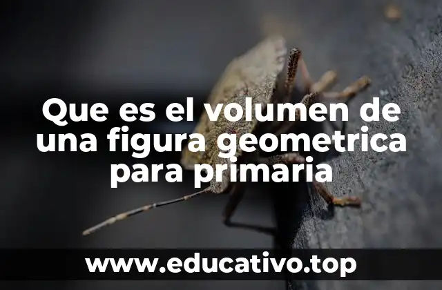 Que es el volumen de una figura geometrica para primaria