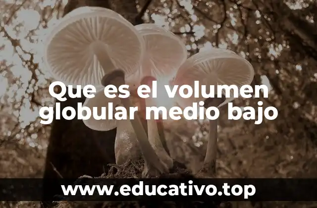 Que es el volumen globular medio bajo