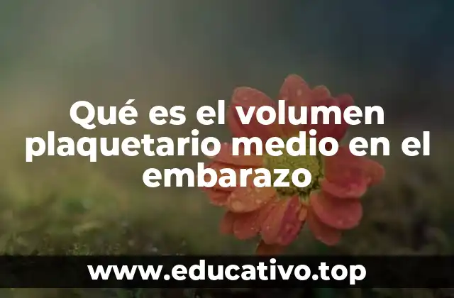 Qué es el volumen plaquetario medio en el embarazo