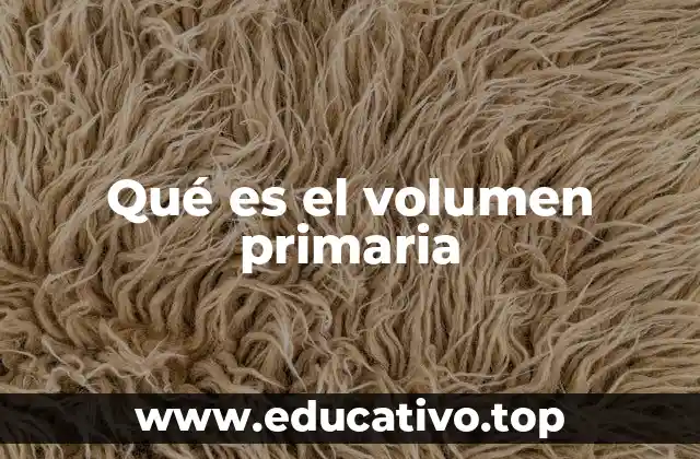 Qué es el volumen primaria