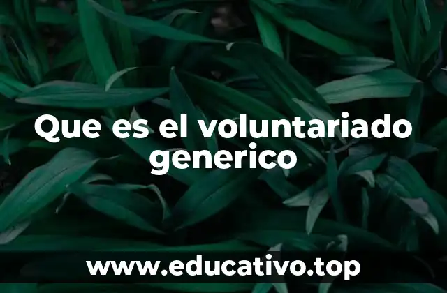 Que es el voluntariado generico
