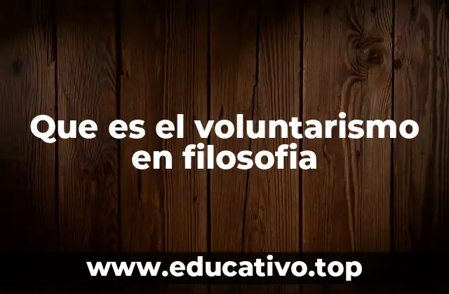 Que es el voluntarismo en filosofia