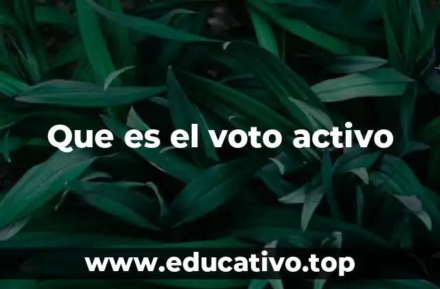 Que es el voto activo