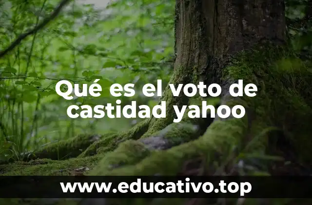 Qué es el voto de castidad yahoo