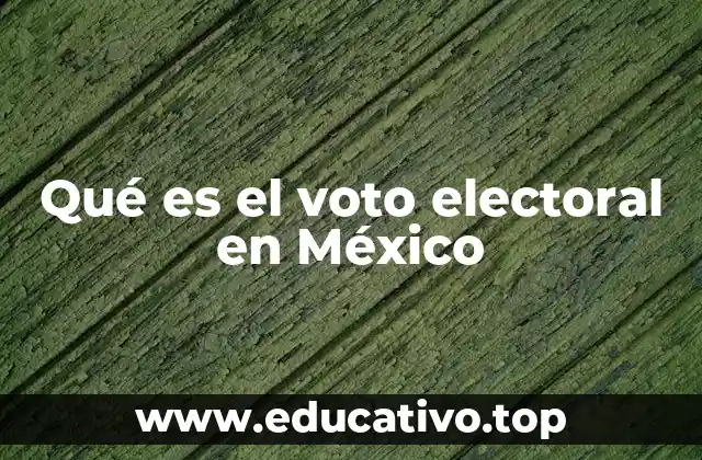 Qué es el voto electoral en México