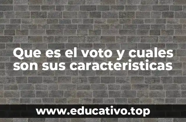 Que es el voto y cuales son sus caracteristicas