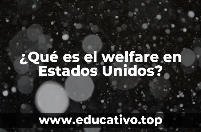 ¿Qué es el welfare en Estados Unidos?