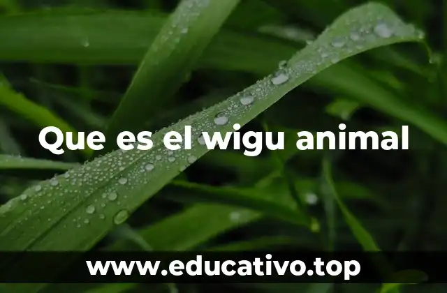 Que es el wigu animal