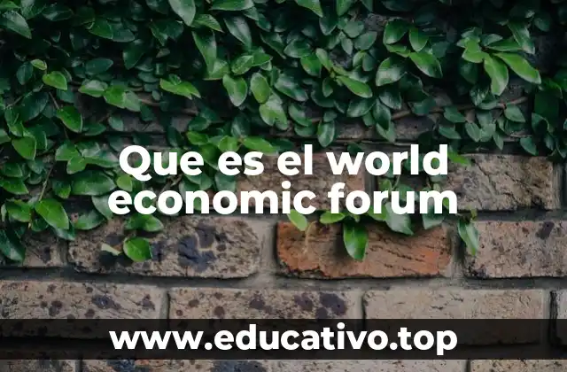 Que es el world economic forum