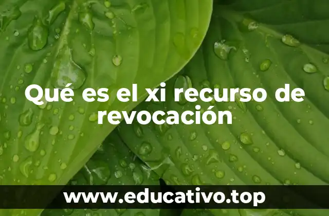 Qué es el xi recurso de revocación