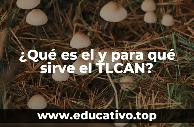 El TLCAN y su impacto en la integración económica de América del Norte