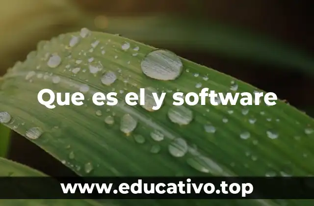 Que es el y software