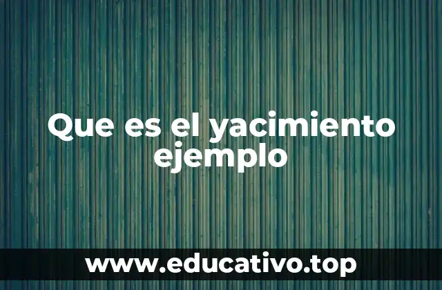 Que es el yacimiento ejemplo