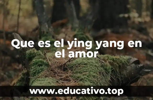 La dualidad como base para construir relaciones duraderas