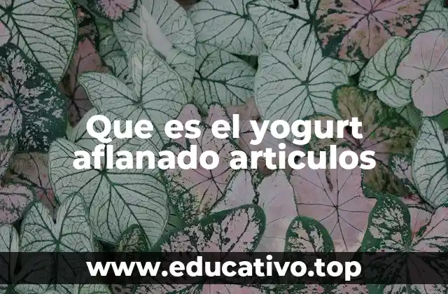 Que es el yogurt aflanado articulos