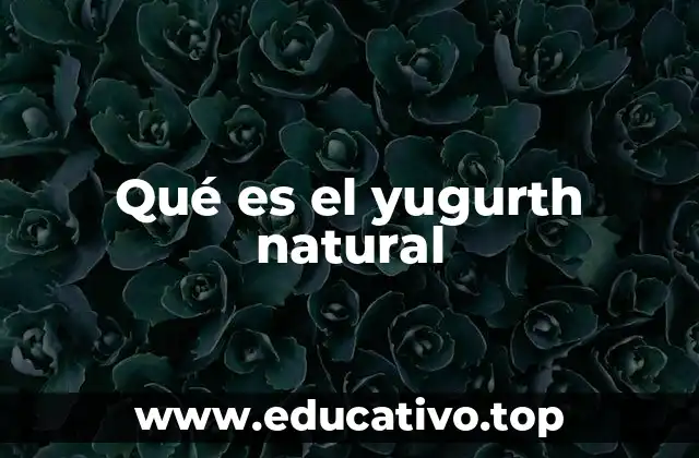 Qué es el yugurth natural