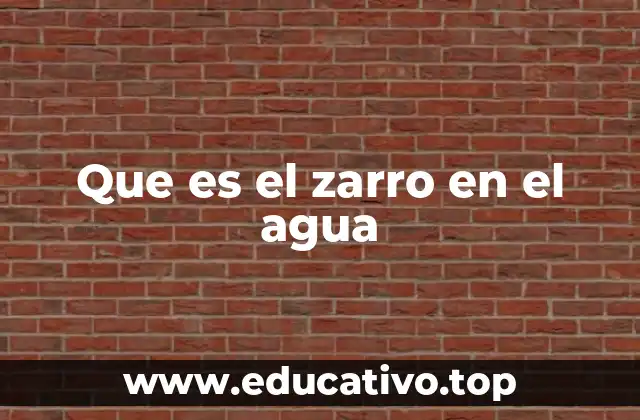 Que es el zarro en el agua