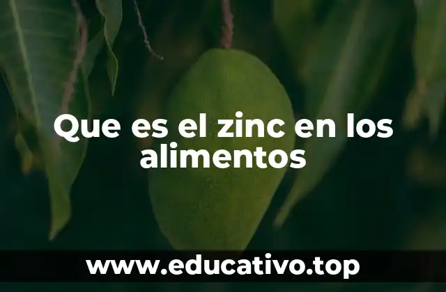 Que es el zinc en los alimentos