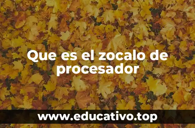 Cómo se clasifican los zócalos de procesador según su diseño